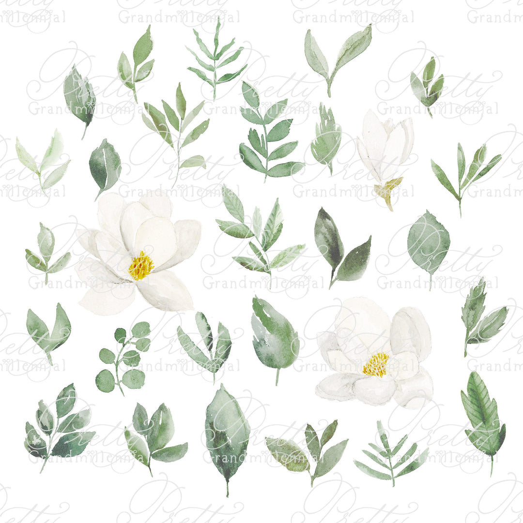 Watercolor Magnolia flowers, magnolia clipart, watercolor magnolia clipart, clipart, commercial use, magnolia flowers clipart - PrettyGrandmillennai